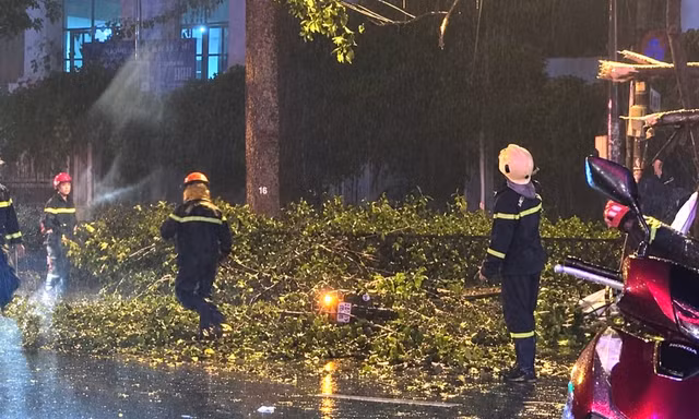 TPHCM: Nhánh cây lớn rơi trúng xe máy, hai vợ chồng thương vong