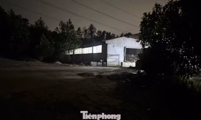 Bất ngờ từ mẫu nước tiểu đàn heo hơn 2.000 con ở Đồng Nai