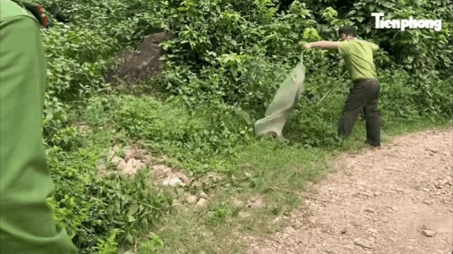 Rắn hổ trâu dài 3m bất ngờ 'ghé thăm' nhà dân