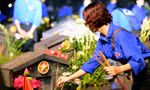 Nhắn tin 'Tri ân liệt sĩ - Gọi tên những vì sao đất nước'