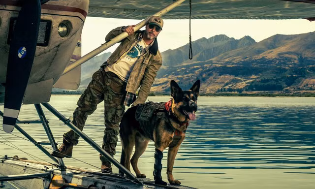 Chú chó cứu hộ chiếm luôn hào quang của Brad Pitt trên màn ảnh Hollywood