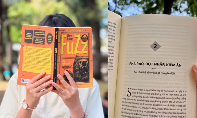 Fuzz - Khi tự nhiên phạm luật: Bạn sẽ làm gì khi gặp gấu đột nhập vào nhà? 