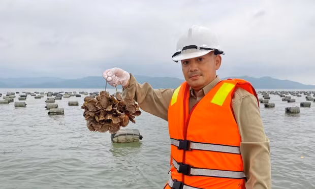 Giải pháp nuôi trồng thuỷ sản gắn với bảo vệ môi trường