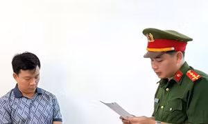 Khởi tố giám đốc và nhân viên một công ty chế biến vật liệu xây dựng ở Ninh Bình