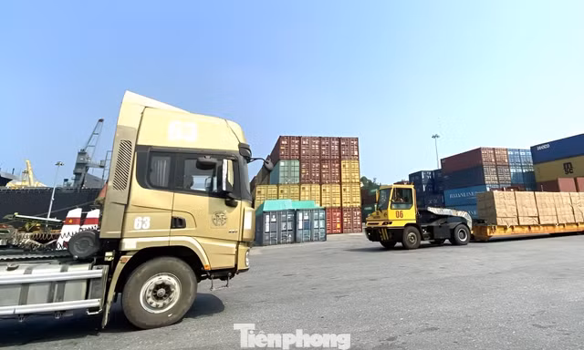Đà Nẵng phát triển dịch vụ logistics theo hướng xanh, bền vững