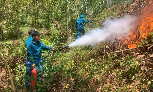 Đốt thực bì giữa nắng nóng, lửa cháy lan đồi keo