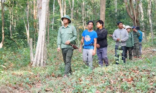 Hành trình thầm lặng đưa những mầm lan trở lại đại ngàn