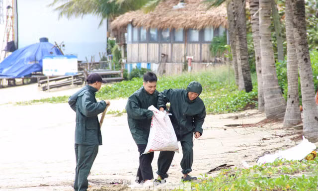 Chạy đua với bão, người dân Đà Nẵng xúc cát chèn mái, chắn ngập