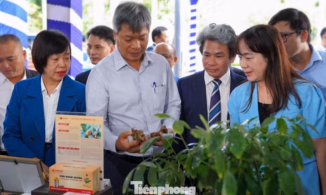 Đà Nẵng sẽ là trung tâm dược liệu của cả nước và khu vực
