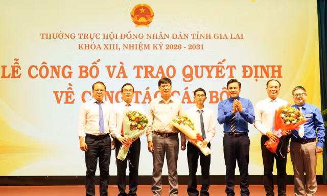 Phó Bí thư Thường trực Tỉnh Đoàn giữ chức Phó Chánh Văn phòng Đoàn ĐBQH và HĐND tỉnh Gia Lai 