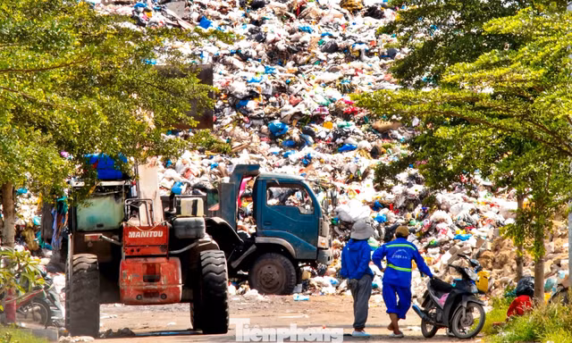 Rác chất cao như núi, vây kín nghĩa trang ở Đà Nẵng