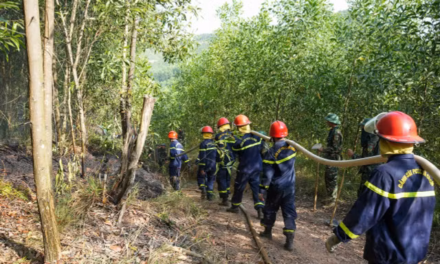 Liên tiếp xảy ra cháy rừng tại nhiều phường, xã ở Huế