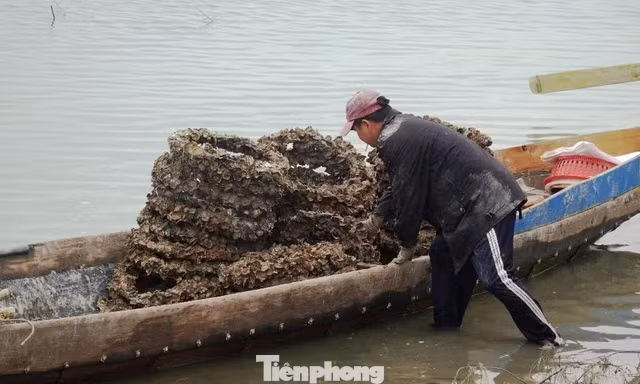 ‘Giải cứu’ khu đầm danh thắng ở Huế từng bị vỏ lốp cao su bủa vây