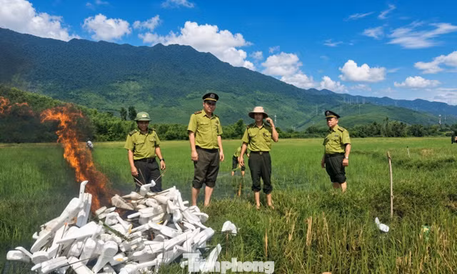 Bám đồng canh giữ chim trời