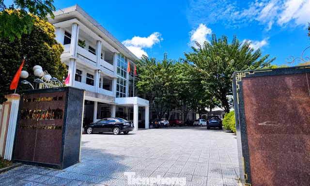 Huế hợp nhất nhiều đơn vị thuộc Sở Nông nghiệp và Môi trường