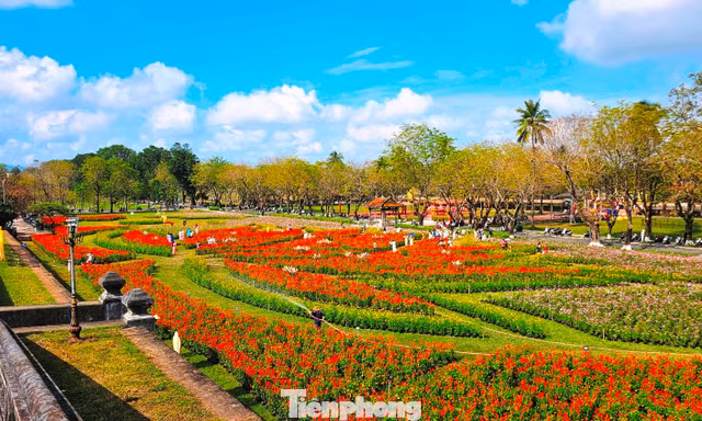 Ngắm vườn Xuân lộng lẫy bên trong Kinh thành Huế