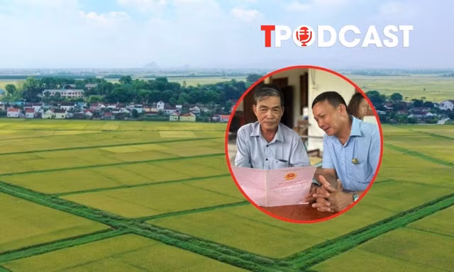 Đất sau 'dồn điền đổi thửa' sẽ được cấp sổ đỏ như thế nào?