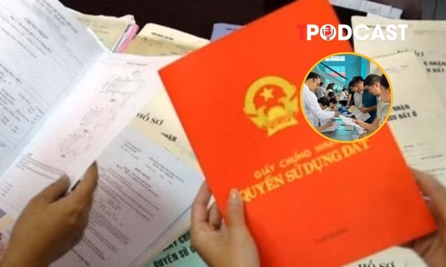 Bỏ cọc đấu giá đất có thể bị cấm hoạt động đến 5 năm