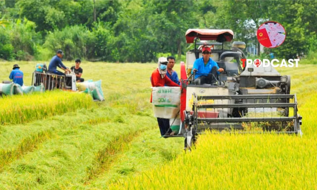 Sử dụng đất sai mục đích, khi bị thu hồi có được bồi thường cây trồng vật nuôi?