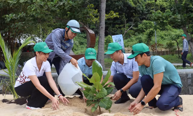 Khởi động chương trình trồng 1 tỷ cây xanh tại đảo Cù Lao Chàm
