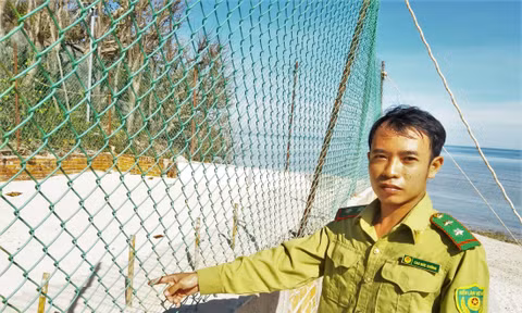 Các tổ ấp trứng rùa Ảnh: Trần Nguyên Anh 