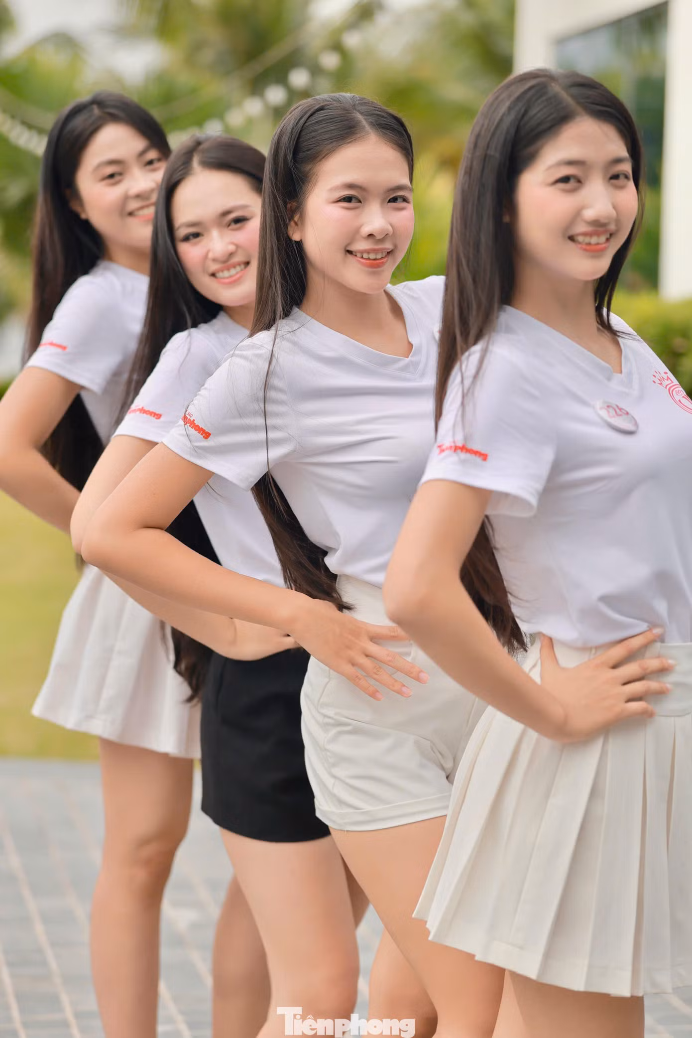 tp_hv31.jpg