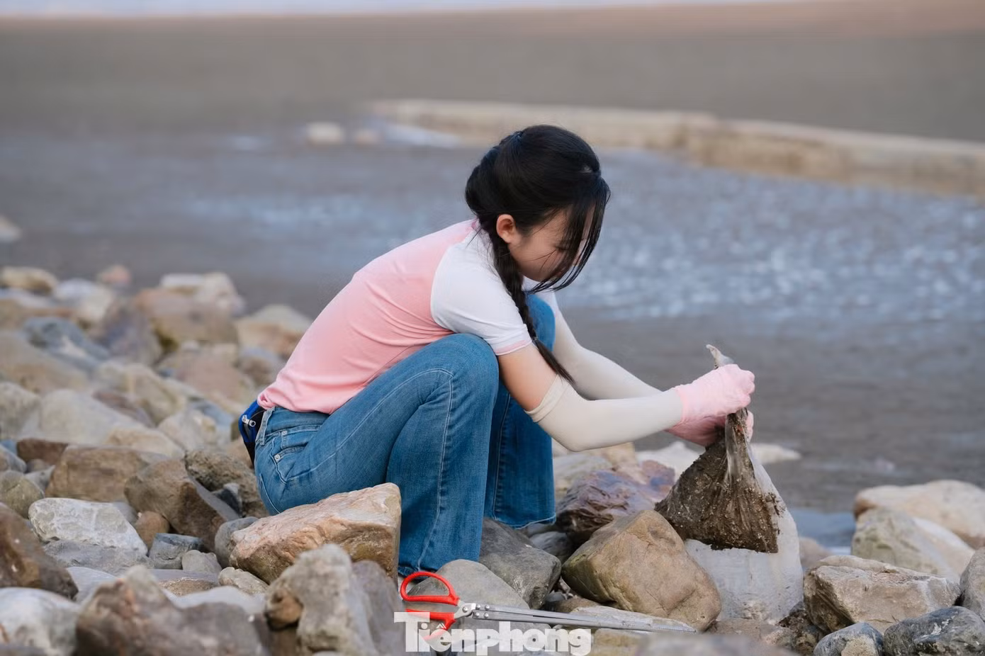 tp_12-6560.jpg