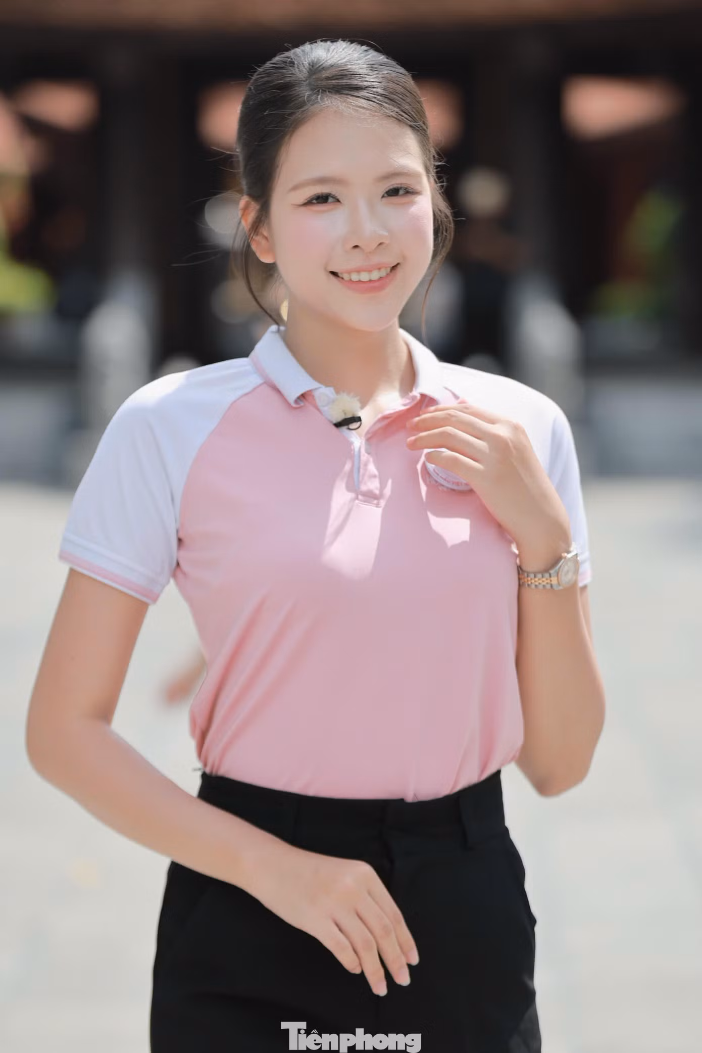 tp_hv33.jpg