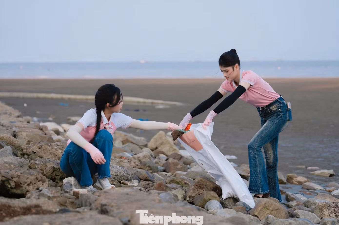tp_11-9726.jpg