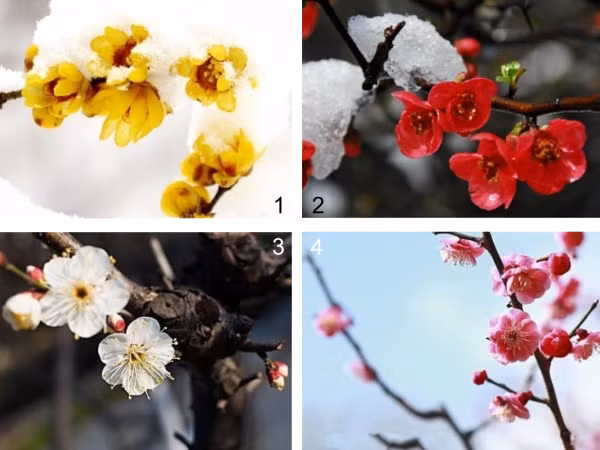 Trắc nghiệm vui: Bạn là người thiên về lý trí hay cảm tính hơn?