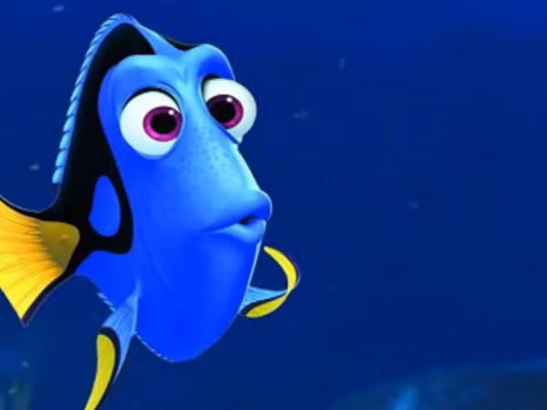Đừng lo nếu bạn có trí nhớ ngắn hạn giống Dory, vì đó là dấu hiệu của người thông minh