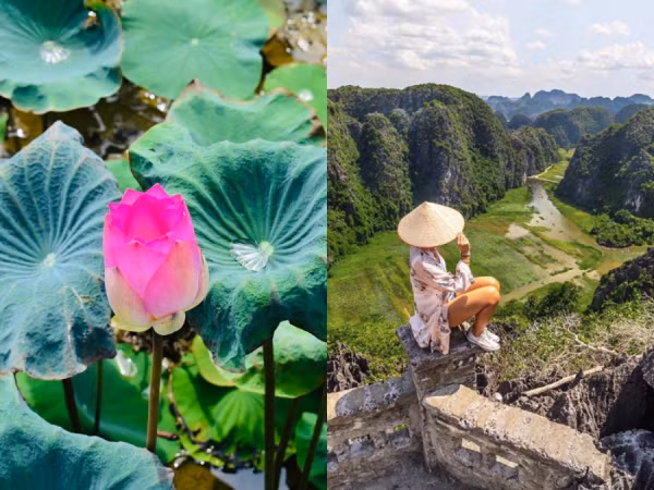 Sen nở rộ, lúa trải vàng ở địa điểm check-in hot nhất Ninh Bình, xách ba lô lên và đi thôi!