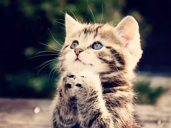 Một điều giản dị có thể giúp chúng ta vượt qua rất nhiều khó khăn lớn