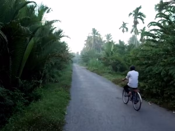 Bài dự thi "Mùa Hè thiên đường của tôi": Đích đến ở Bến Tre