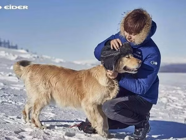 Lee Min Ho: Đã đẹp trai, lại còn yêu thương động vật 