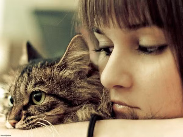 Cún hay thỏ, cung Hoàng đạo của bạn hợp với loài vật nuôi nào nhất?