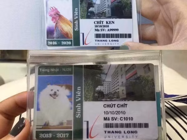 Trường Đại học cấp cả thẻ sinh viên cho… chó và gà, đầy đủ thông tin, mã số sinh viên