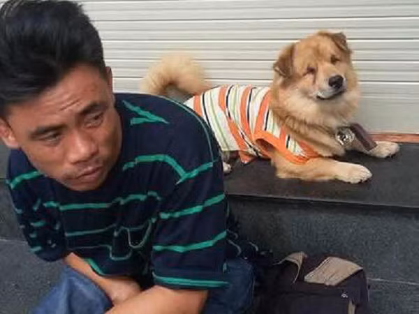 Rớt nước mắt trước cảnh anh đánh giày câm mong tìm lại chú chó mù nghi bị trộm mất