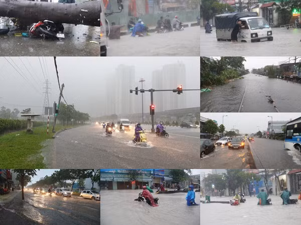 Khẩn cấp: Học sinh TP. Hồ Chí Minh được nghỉ học ngày mai 26/11