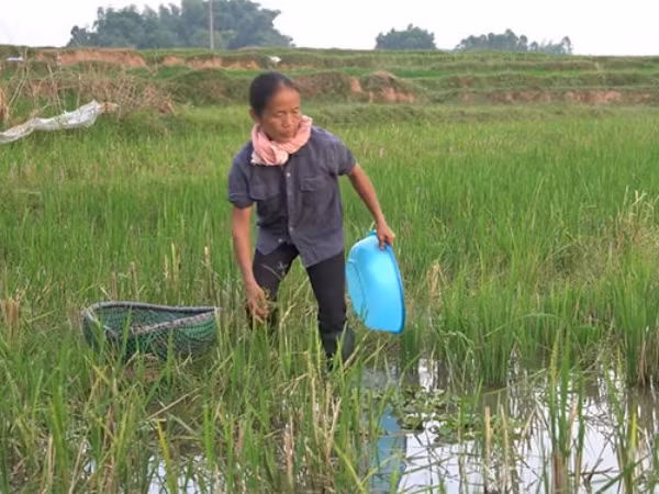 Bà Tân Vlog khiến dân mạng "phát cuồng" vì cách làm Vlog mới