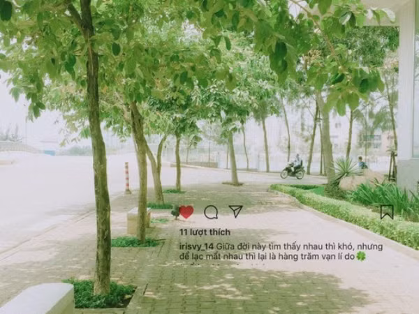 Ngắm những góc nhỏ thanh xuân đầy lãng mạn qua bộ ảnh của sinh viên ĐH Tôn Đức Thắng