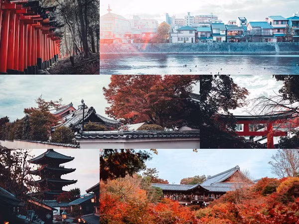 Bộ ảnh đẹp mê hồn của cố đô Kyoto