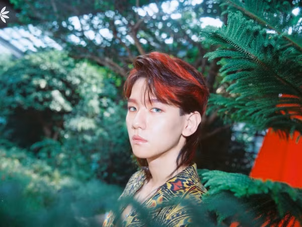 Baekhyun đã phạm lỗi lầm gì mà bị SM Ent ghi sai tên trong cả album "The War" thế này?