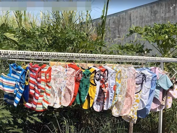 Nữ sinh về quê ăn Tết bị hàng xóm đồn "chửa hoang" vì phơi nhiều quần áo chó mèo