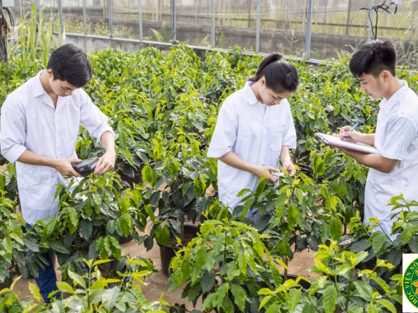 Khối ngành Nông nghiệp - Nghịch lý về nguồn nhân lực và cơ hội việc làm