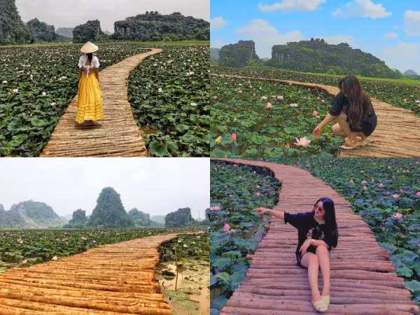 Đầm sen kỳ lạ nở rộ giữa Thu, giới trẻ truyền tai nhau không thể không đi