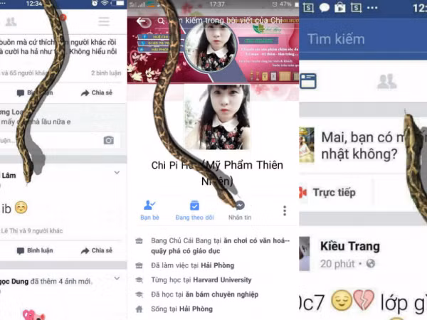 Không chỉ rắn, bạn có thể mang cả gián với chuột lên Facebook nếu làm theo những bước này