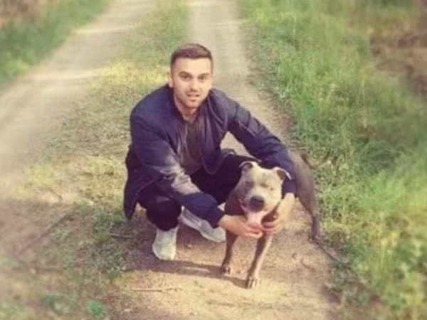 Chú chó pitbull “đáng sợ” đã khiến người hàng xóm thay đổi suy nghĩ như thế nào?