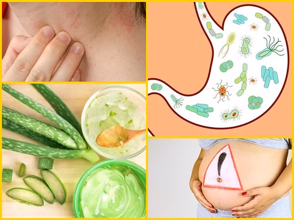 Tác dụng phụ của lô hội ít người biết