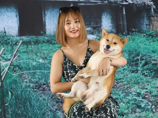 Chú chó Nhật được chọn đóng phim "Cậu Vàng" có gì đặc biệt?